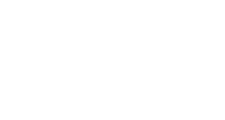 AIN — Grupo empresarial